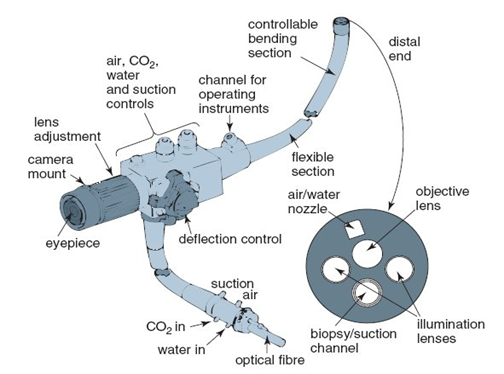 Endoscope Schematic